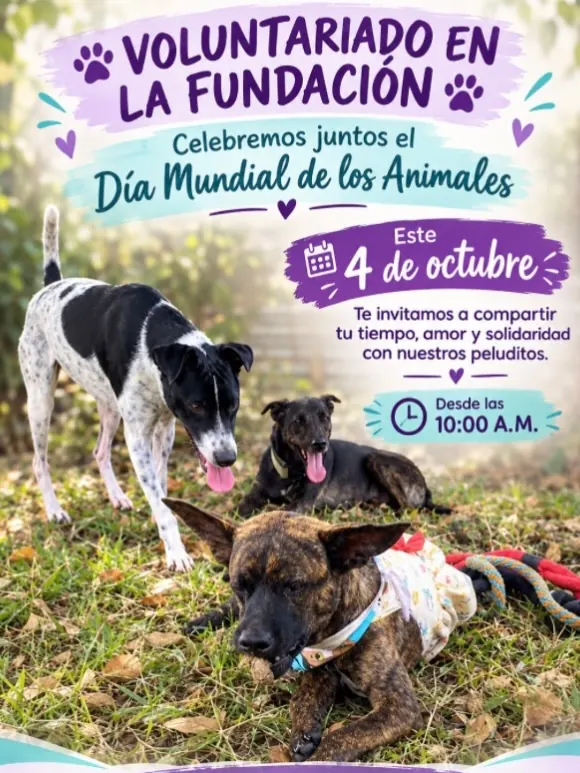 Voluntariado: Día Mundial de los Animales